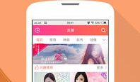 91直播间美女,美女生态圈的魅力与魅力